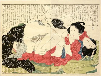 Double Harikata